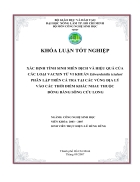 Xac dinh tinh sinh mien dich va hieu qua cua cac loai vacxin tu vi khuan Edwardsiella ictaluri phan lap tren ca tra tai cac vung dia ly vao cac thoi