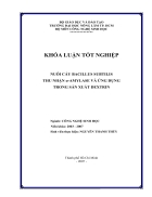 Nuoi cay Bacillus subtilis thu nhan a amylase va ung dung trong san xuat dextrin