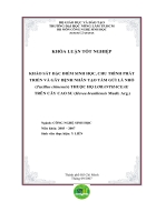 Khảo sát đặc điểm sinh học chu trình phát triển và gây bệnh nhân tạo tầm gửi lá nhỏ Taxillus chinensis thuộc họ Loranthacea trên cây cao su Hevea