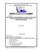 Hiện trạng và giải pháp nhằm nâng cao hiệu quả hoạt động thu mua và xuất khẩu lạc của công ty vilexim trong giai đoạn hiện nay