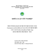 Phân tích đa dạng di truyền một số mẫu nấm gây bệnh trên cây cao su bằng phương pháp rflp pcr