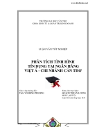 Phân tích tình hình tín dụng tại ngân hàng Việt Á chi nhánh Cần Thơ