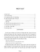 Xử lý vi phạm pháp luật về tài nguyên và môi trường ở xã Mỹ Hiệp huyện Phù Mỹ