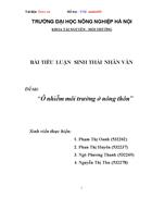 Ônhiễm môi trường ở nông thôn