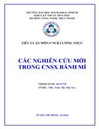 Các nghiên cứu mới trong công nghệ sản xuất bánh mì