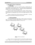 Công nghệ len men sản xuất Dextran