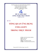 Tìm hiểu về Ứng dụng collagen trong thực phẩm