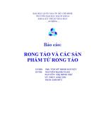 Tìm hiểu về rong tảo và các sản phẩm từ rong tảo