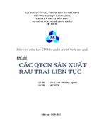 Cac QTCN san xuat rau trai lien tuc chip khoai tay va salad dong goi