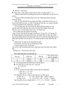 Mạng lưới thoát nước