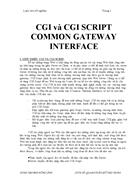 CGI và CGI SCRIPT COMMON GATEWAY INTERFACE