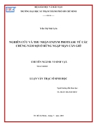Nghiên cứu và thu nhận ENZYM PROTEASE từ các chủng nấm sợi ở rừng ngập mặn Cần Giờ