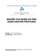 Nguồn thu nhận và ứng dụng của enzyme protease