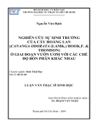 Nghiên cứu sự sinh trưởng của cây hoàng lan CANANGA ODORATA LAMK HOOK F THOMSON ở giai đoạn vườn ươm với các chế độ bón phân khác nhau