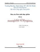 Tìm hiểu về Hemoglobin và Myoglobin