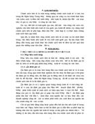 Quan điểm định hướng và các giải pháp thực thi CSTT