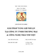 Giải pháp tăng lợi nhuận tại công ty TNHH thương mại và công nghệ Trái Tim Việt