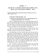 Nâng cao hiệu quả sử dụng vốn và ngăn ngừa rủi ro tín dụng phát sinh trong kinh doanh tín dụng NHNo PTNT Hà Nội