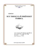 Suy thoái và ô nhiễm đất ở Đồng Bằng Sông Cửu Long