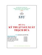 Tìm hiểu kỹ thuật sản xuất thạch dừa 55 trang