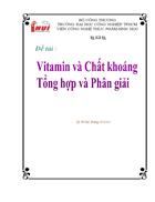 Vitamin và chất khoáng Tổng hợp và phân giải