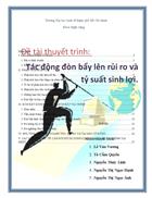 Tác động đòn bẩy lên rủi ro và tỷ suất sinh lợi