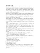 Nền văn minh Hy Lạp