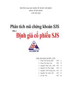 Định giá cổ phiếu SJS