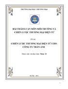 Chiến lược thương mại điện tử cho công ty trần anh