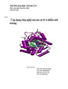 Ứng dụng công nghệ enzyme vào xử lý ô nhiễm môi trường