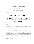 Tìm hiểu enzyme glucose iomerase và enzyme glucose oxidase