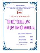 Tìm hiểu về khoai lang và quy trình sản xuất tinh bột khoai lang