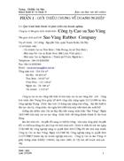 Báo cáo thực tập Công ty Cao su Sao Vàng 1