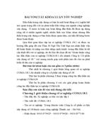 Các giải pháp hoàn thiện công tác đấy thầu tại xí nghiệp COMA18