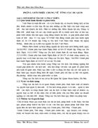 Báo cáo tổng hợp về Tổng cục Du lịch