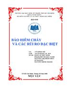 Bảo hiểm cháy và các rủi ro đặc biệt