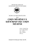 Chọn mô hình và kiểm định việc chọn mô hình