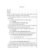 Quản lý nhà nước bằng pháp luật đối với đầu tư trực tiếp nước ngoài trên địa bàn thành phố Hà Nội 1