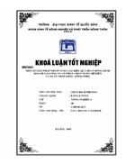 Những giải pháp chủ yếu nhằm nâng cao hiệu quả hoạt động kinh doanh tại Công ty cổ phần Chăn nuôi chế biến và xuất nhập khẩu APROCIMEX