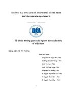 Tổ chức không gian các ngành sản xuất điều ở Việt Nam