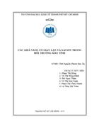 Các khả năng có gian lận và sai sót trong môi trường máy tính