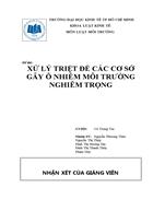 Xử lý triệt để các cơ sở gây ô nhiễm môi trường nghiêm trọng