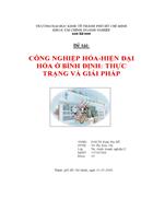 Các giải pháp và chính sách phát triển công nghiệp hóa hiện đại hóa tỉnh Bình Định