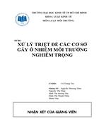 Xử lý triệt để các cơ sở gây ô nhiễm môi trường nghiêm trọng