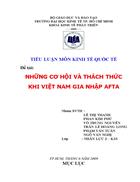 Những cơ hội và thách thức khi VIỆT NAM gia nhập AFTA