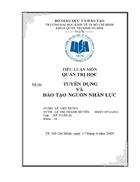 Tuyển dụng và đào tạo nguồn nhân lực