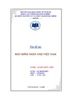 Bảo hiểm nhân thọ việt nam