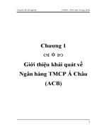 Giải pháp cải tiến qui trình tín dụng cá nhân của NHTMCP Á Châu ACB