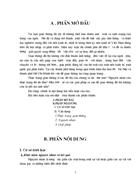 Thực trạng giao thông ở các đô thị 1