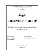 Phân tích tình hình tài chính Công ty TNHH PUNGKOOK SG III